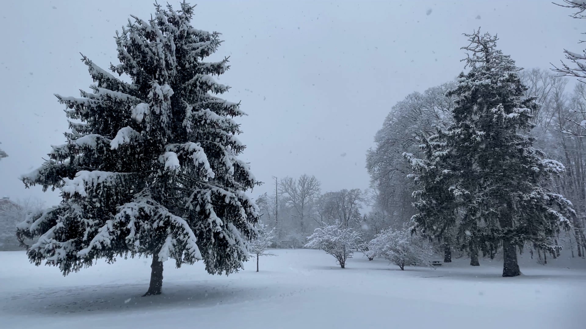 Lorraine Buries Connecticut Under Heavy Snow Videos from The Weather